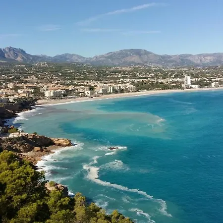 Bright Sunny Albir * アルビール